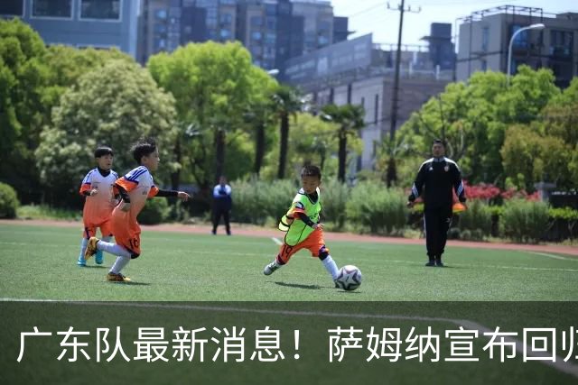 广东队最新消息！萨姆纳宣布回归，杜锋有望接任男篮主帅一职！